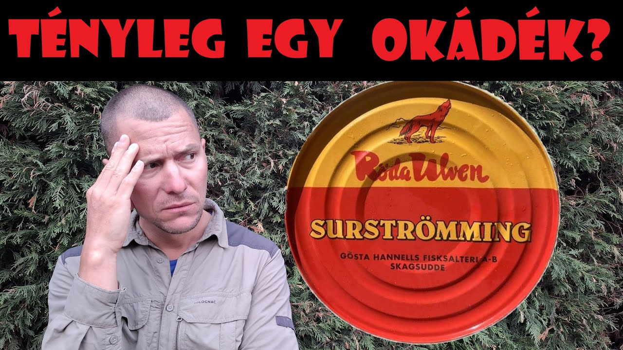 Surstr&ouml;mming konzerv k&oacute;stol&aacute;s