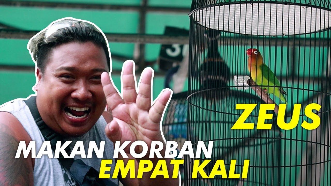 SAAT DI WAWANCARA ZEUS KURANG HOKI TAPI HASIL AKHIR MAKAN KORBAN EMPAT KALI