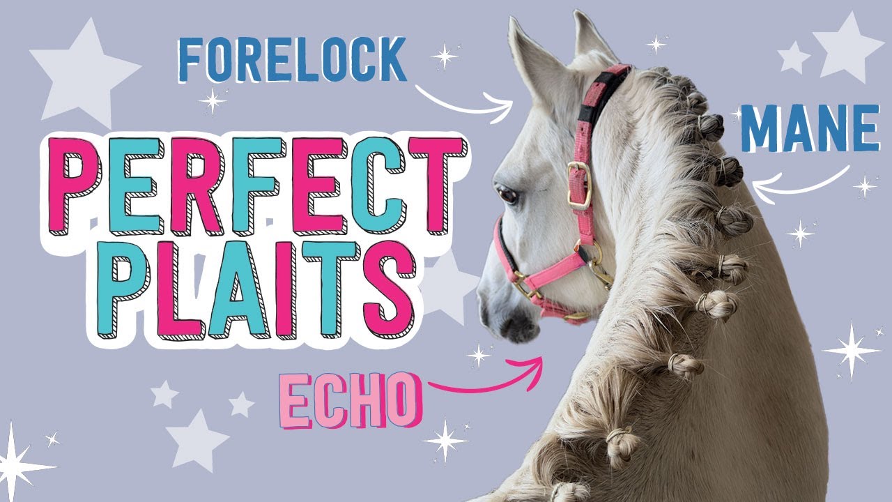 How-to plait a pony's mane and forelock!✨