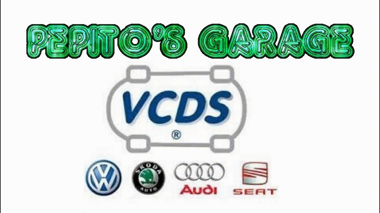 VCDS come funziona??