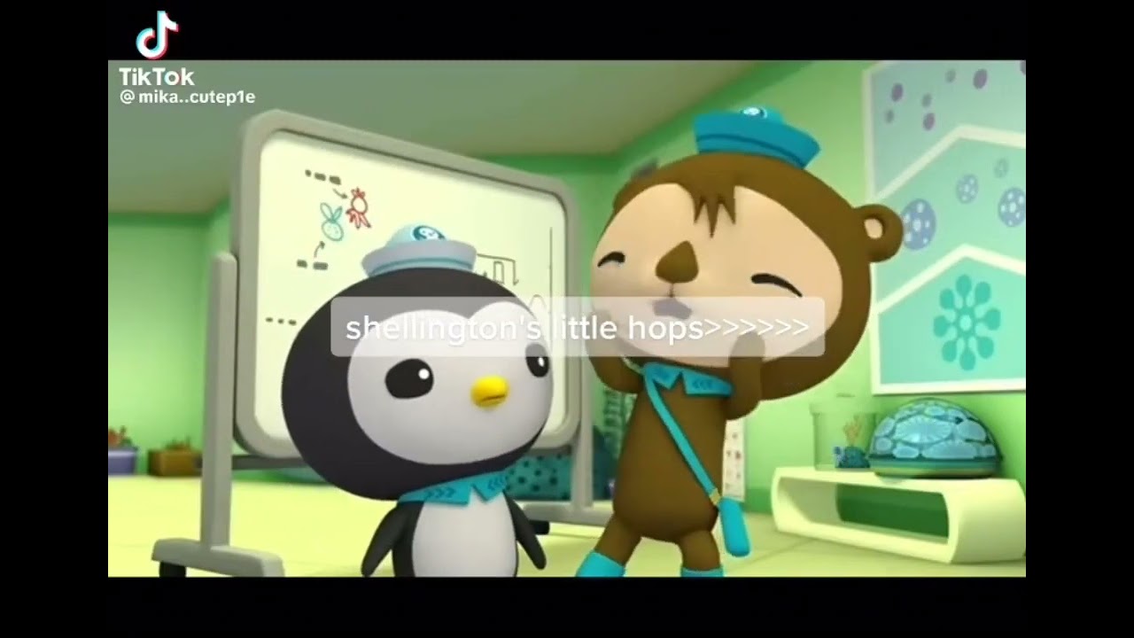 shellington gets his foot stepped on // octonaut and the narwhal// not mines