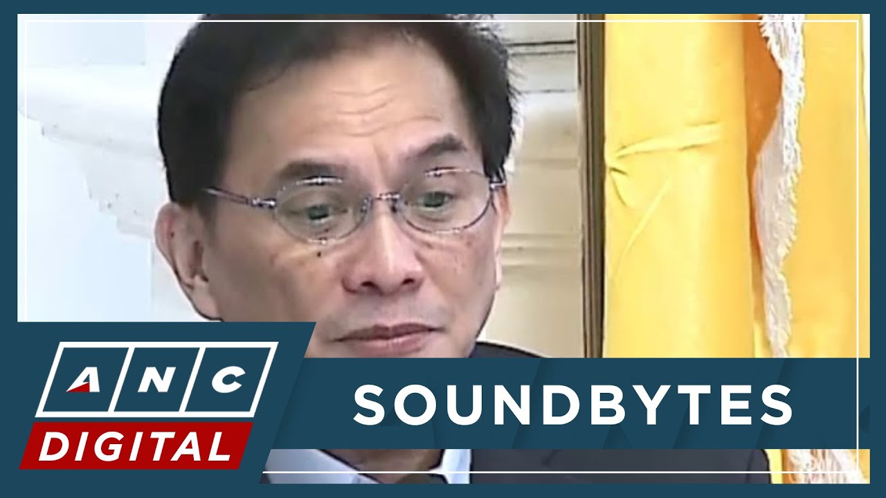 Fadullon on Atong Ang: 'Lumalabas na siya ay akusadong nagtatago sa batas' | ANC
