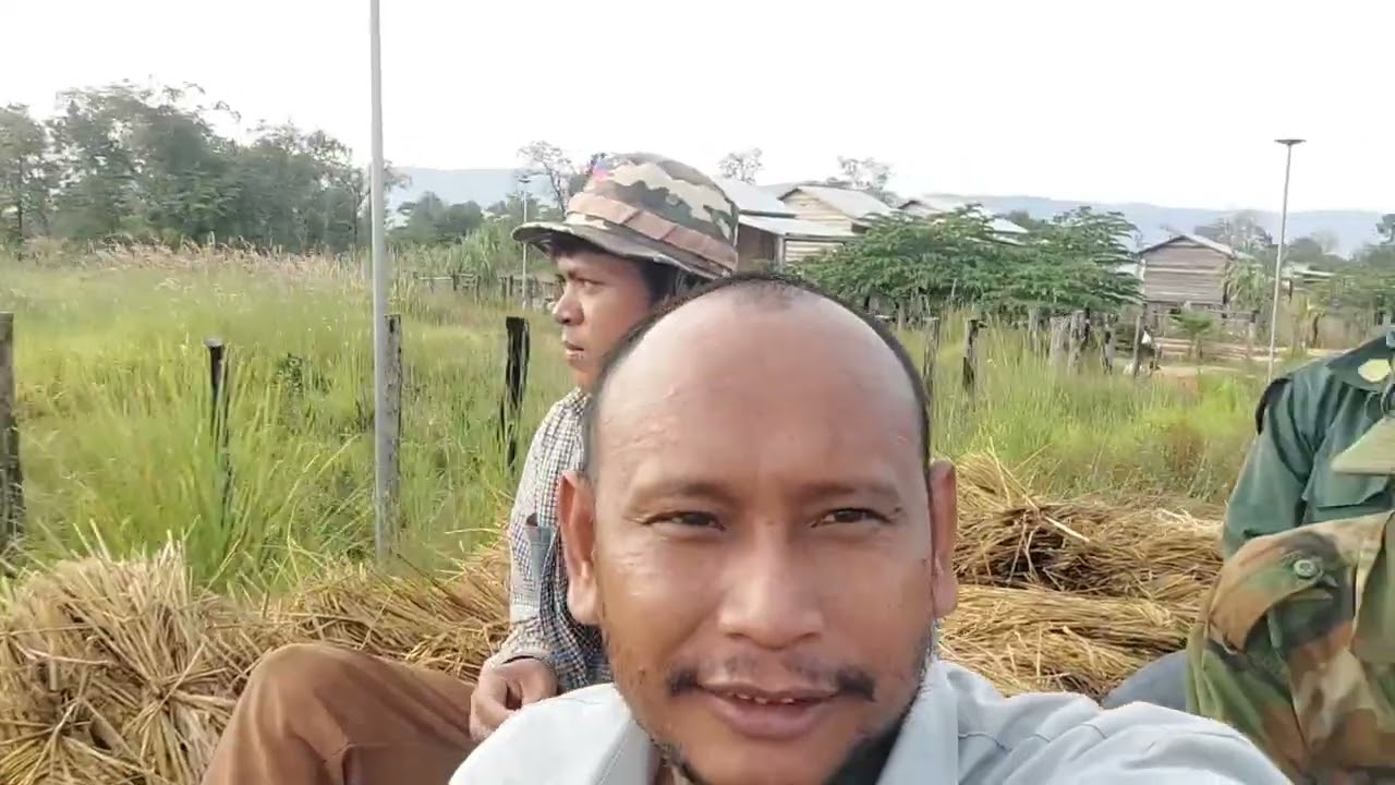 ការទ្វេប្រហែសរបស់ខ្ញុំស្រូវត្រូវទឹកសើមអស់