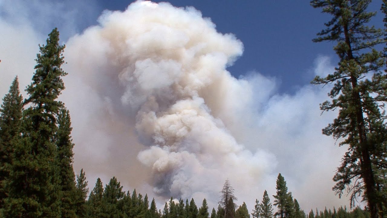 The Rim Fire