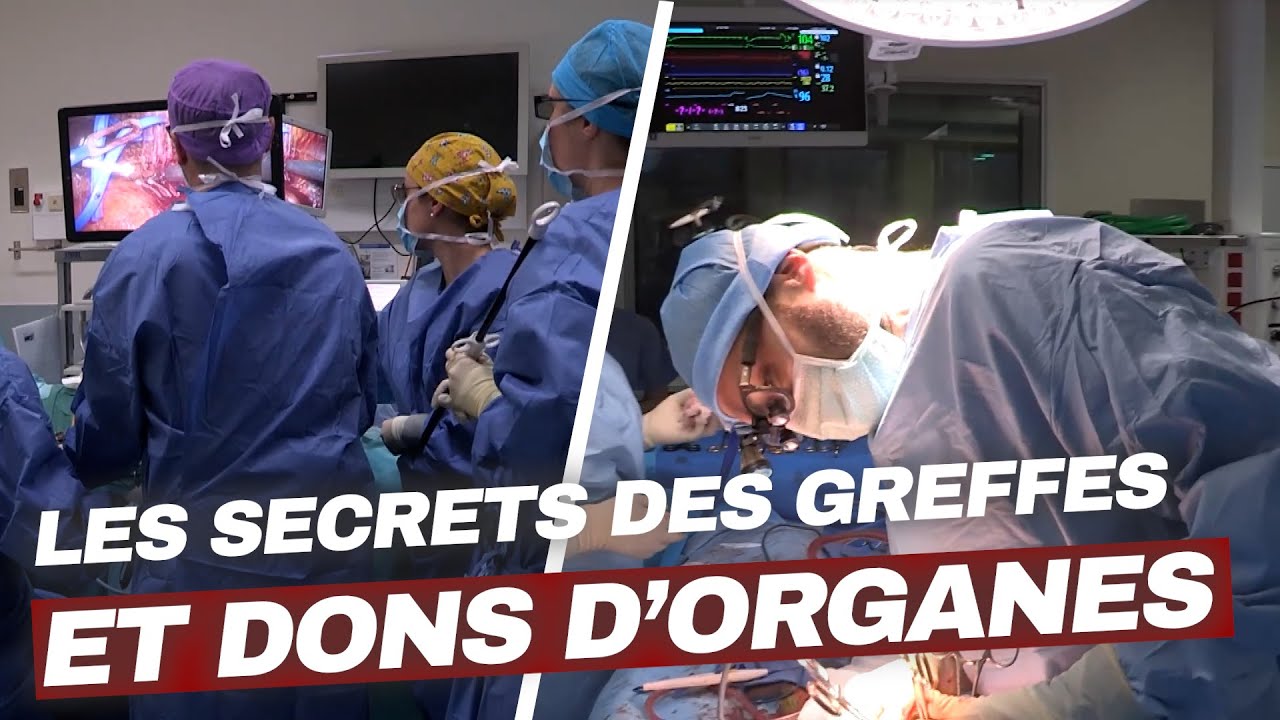 Greffes d'organes : lorsque chaque seconde compte ! | Enquête Choc