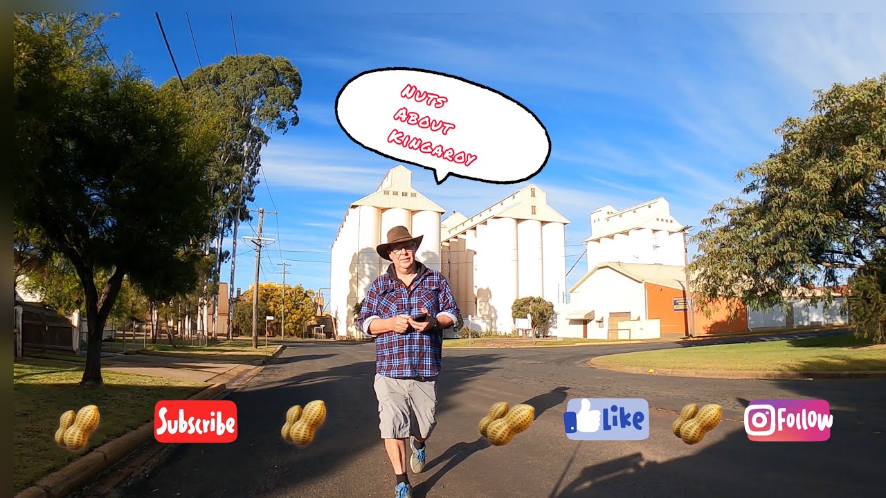 Kingaroy peanut 🥜 Capital of QLD