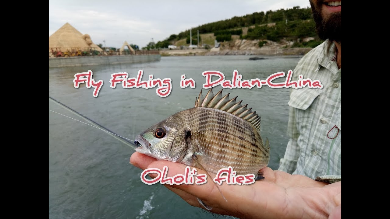 Fly Fishing in Dalian-China