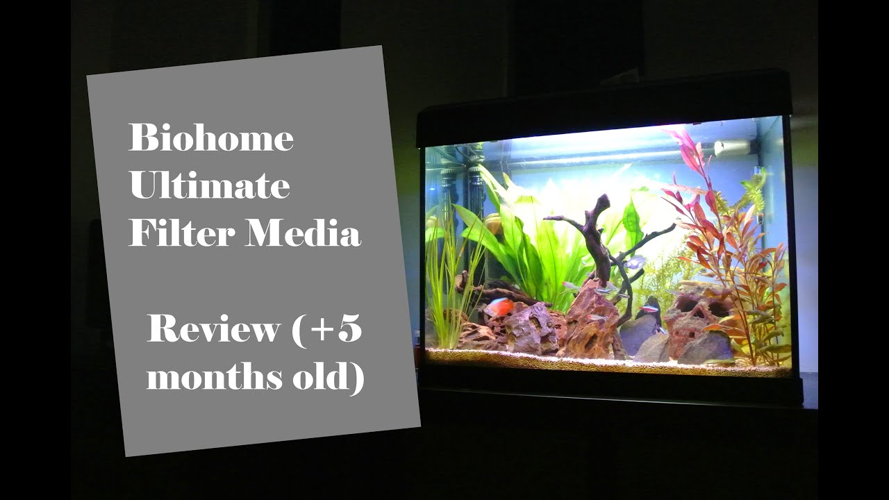 Biohome Ultimate Filter Media Review (More than 5 months use)