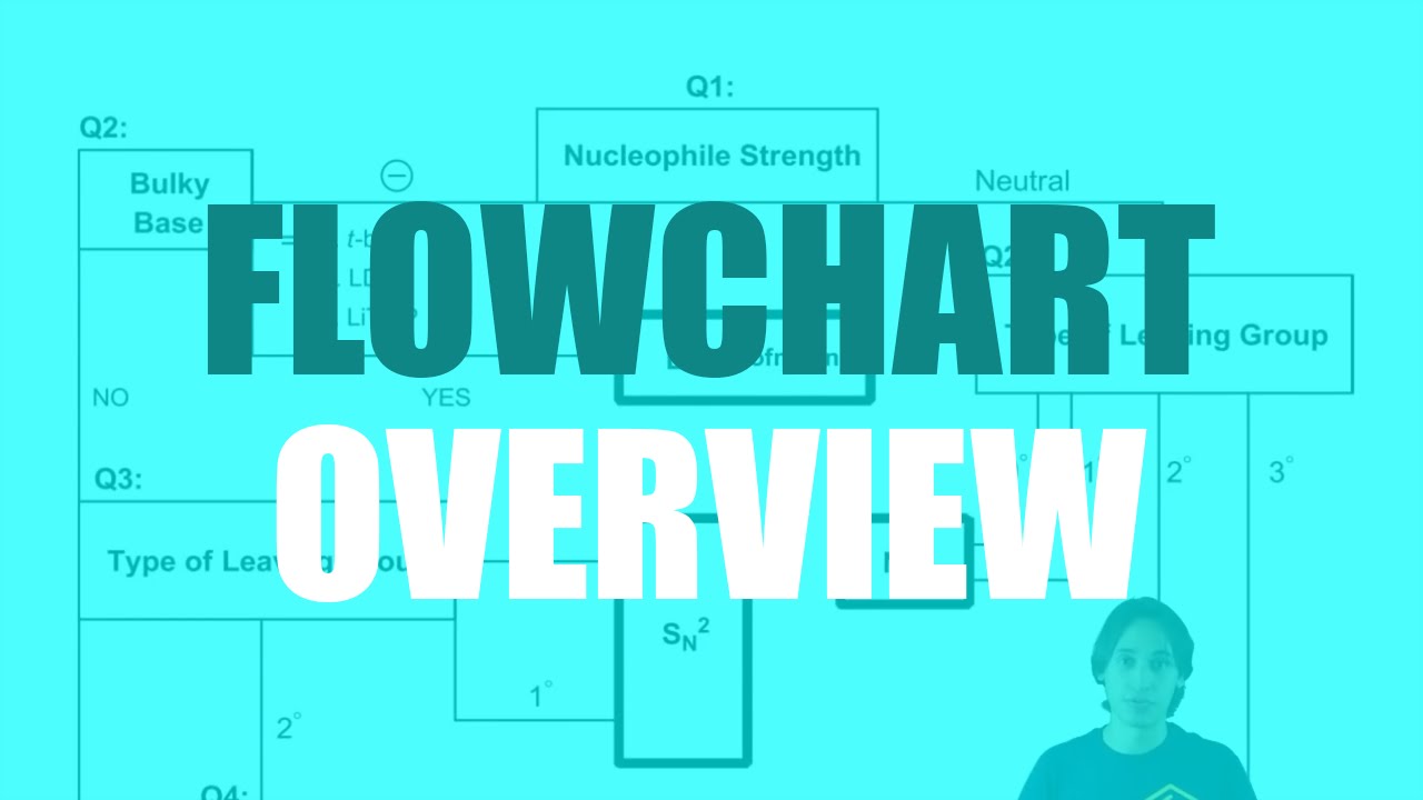 Overview of the flowchart