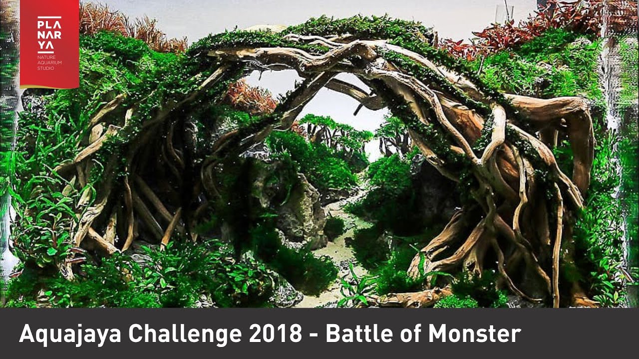 Aquajaya Challenge 2018 - Battle of Monsters (Full Tank Shot Video)
