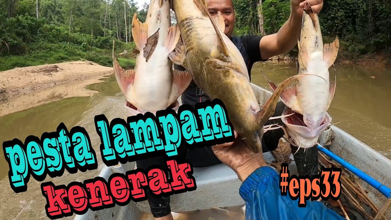tahan tajur ikan baung dan menjaring.alhamdulillah hasil padu pesta ikan.#eps33