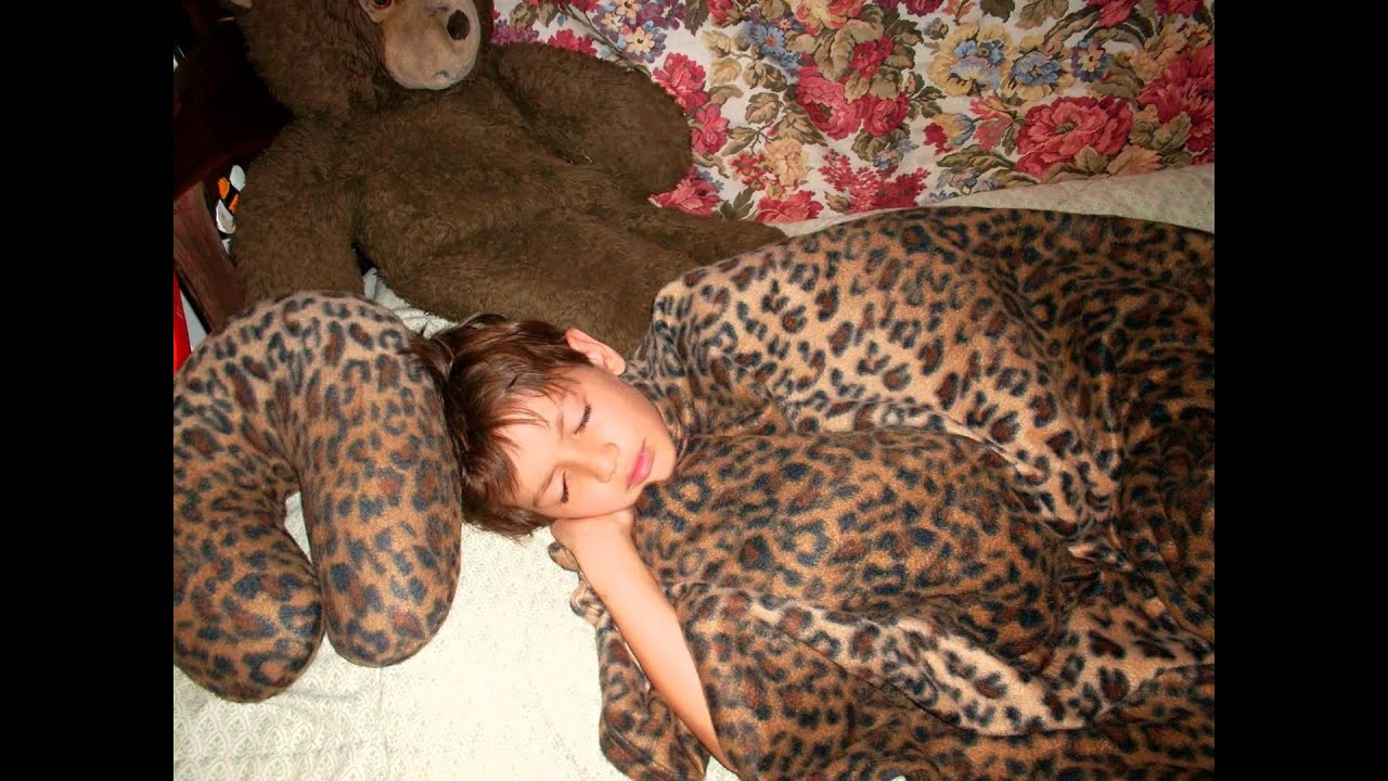Almohadas Fedelion
