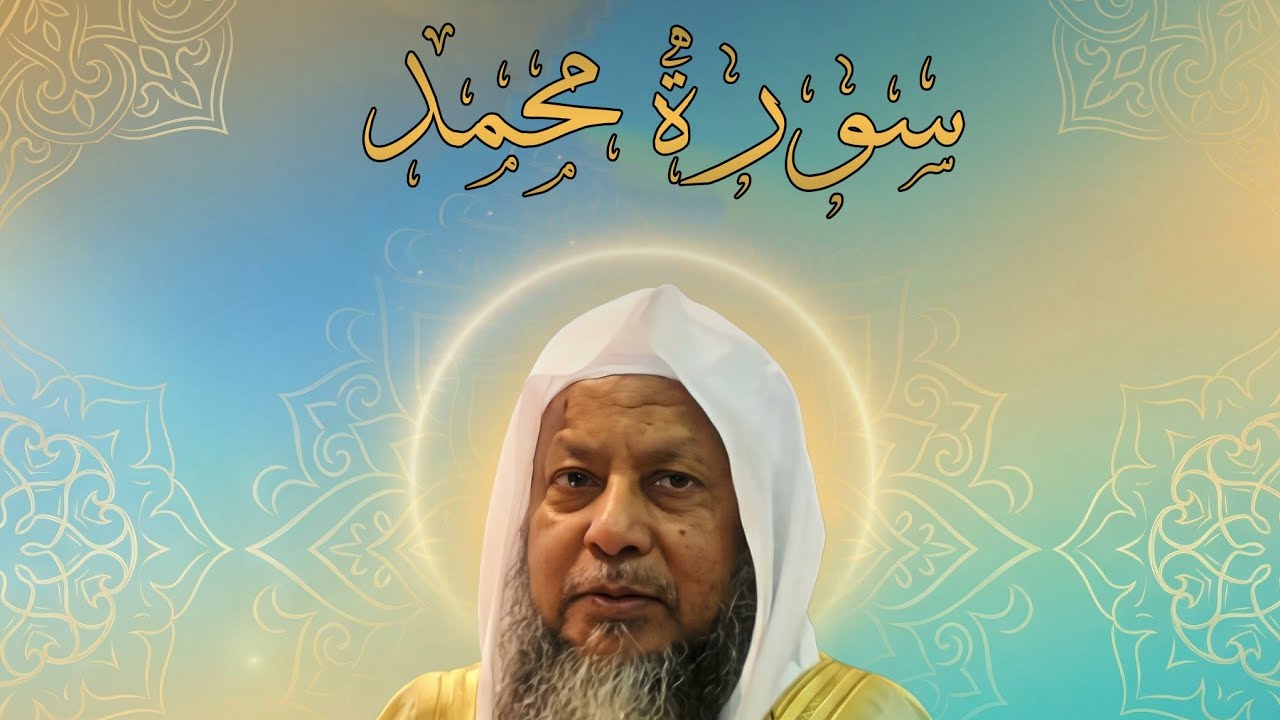 سورة محمد الشيخ محمد أيوب 