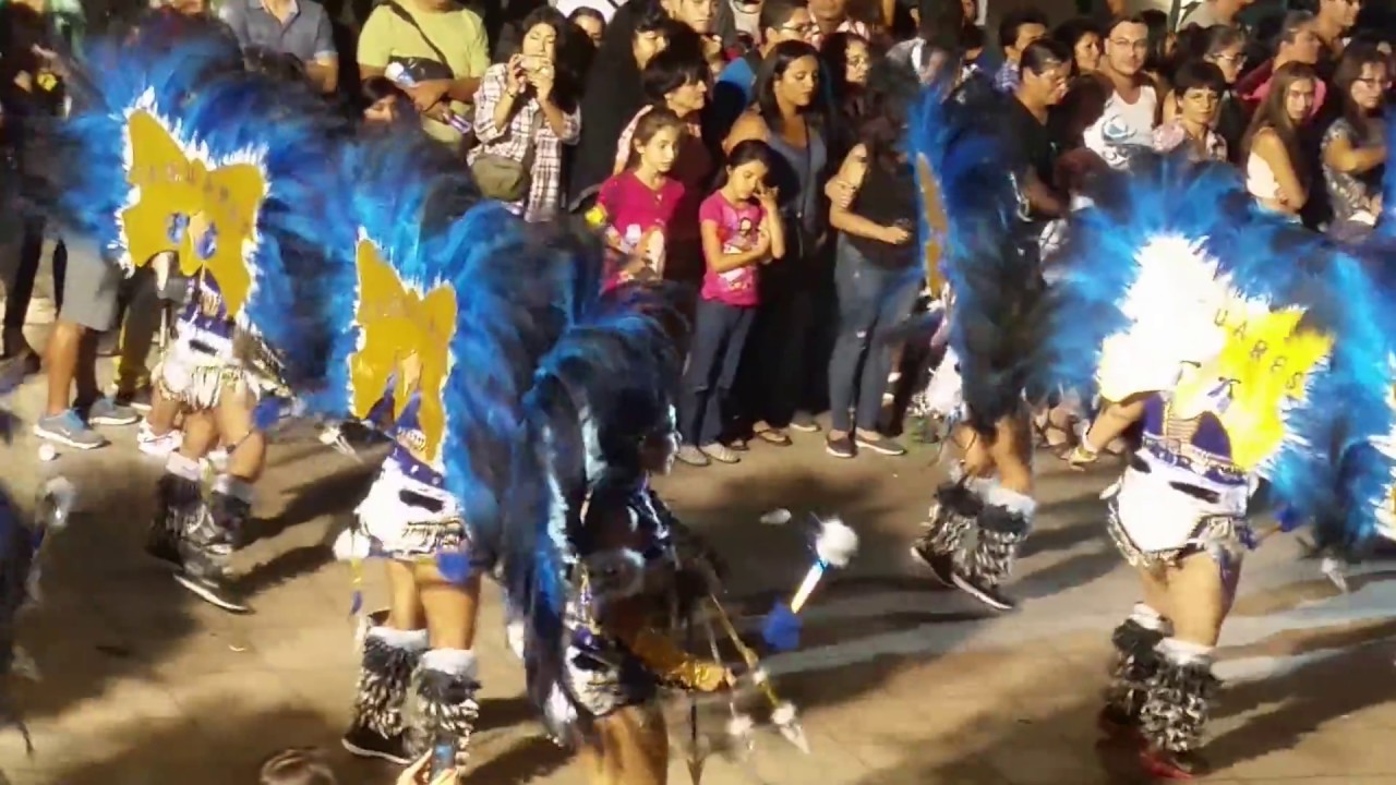 TOBAS JAGUARES SAJAMA *2017* DIA 2