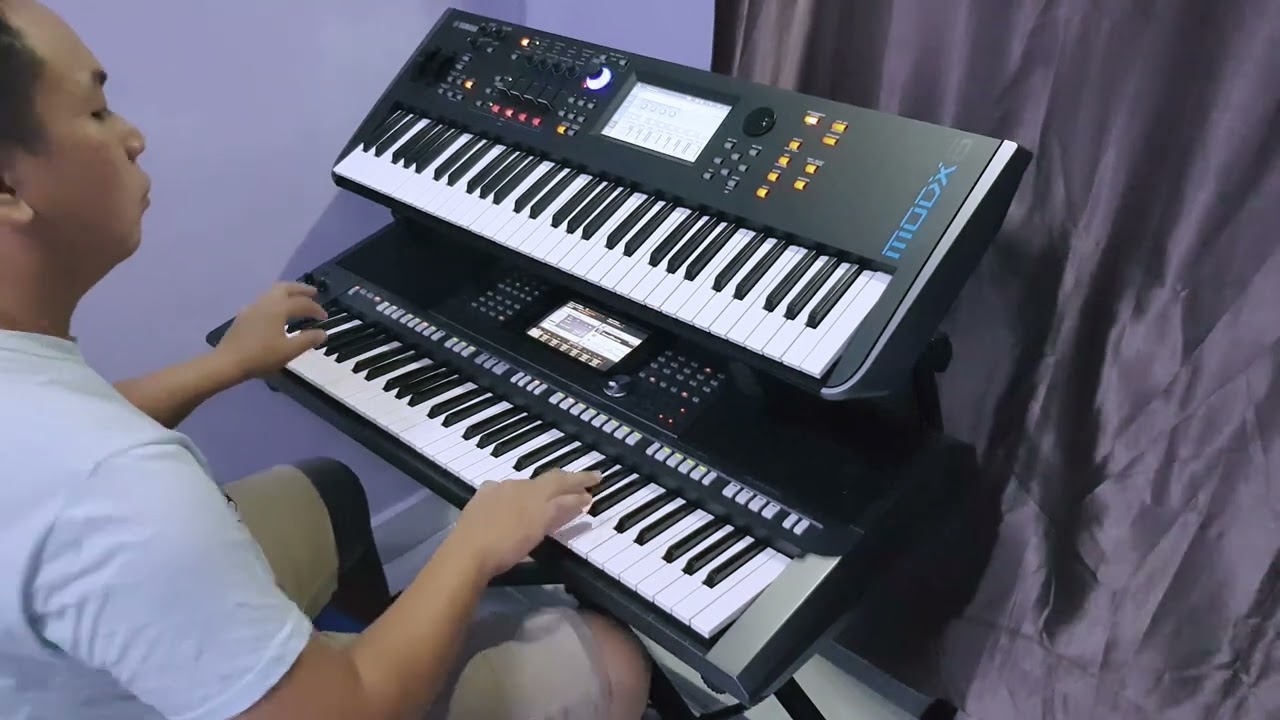 双电子琴演奏 浪子的心情 (Cover by~Bu)