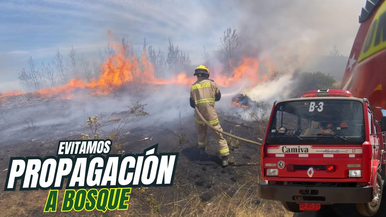 Incendio forestal, Ruta 90 camino a Pichilemu ¡Evitamos la propagación! 🚒