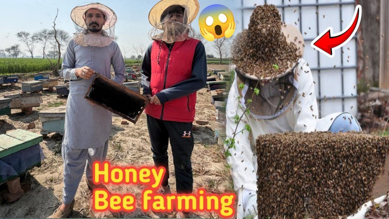 Buhat Sari Makhiyo Nay Dhava Bol Diya😱