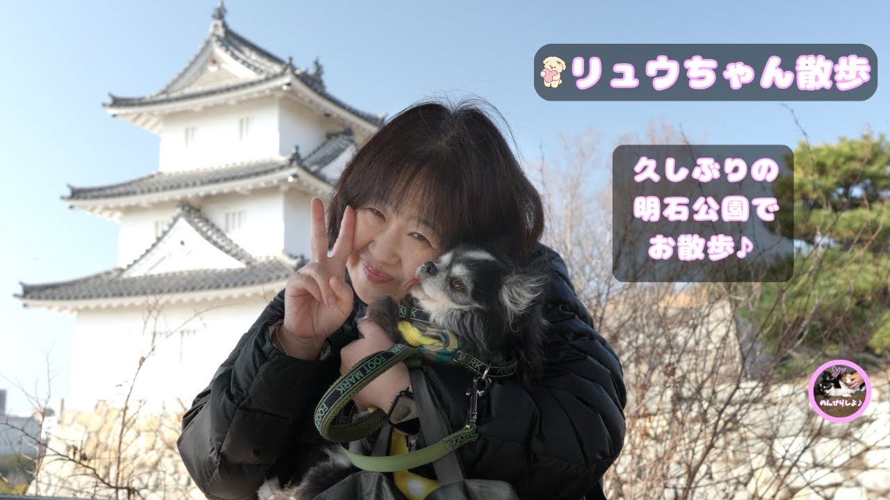 久しぶりの明石公園でお散歩🐶前回との違いもお楽しみください☺️【リュウちゃんシリーズ＃25】