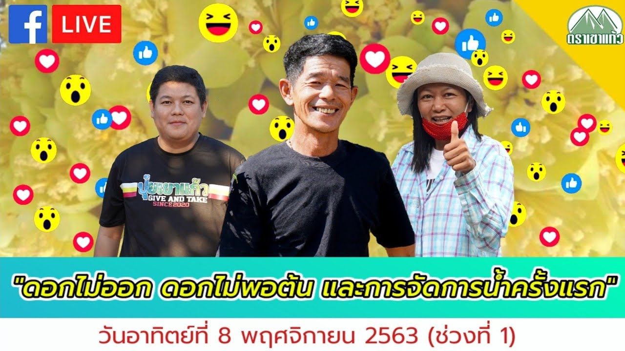 EP.16/1 ดอกไม่ออก ดอกไม่พอต้น และการเข้าน้ำครั้งแรก โดย อ.สัญชัย lปุ๋ยตราเขาแก้ว (Offical)