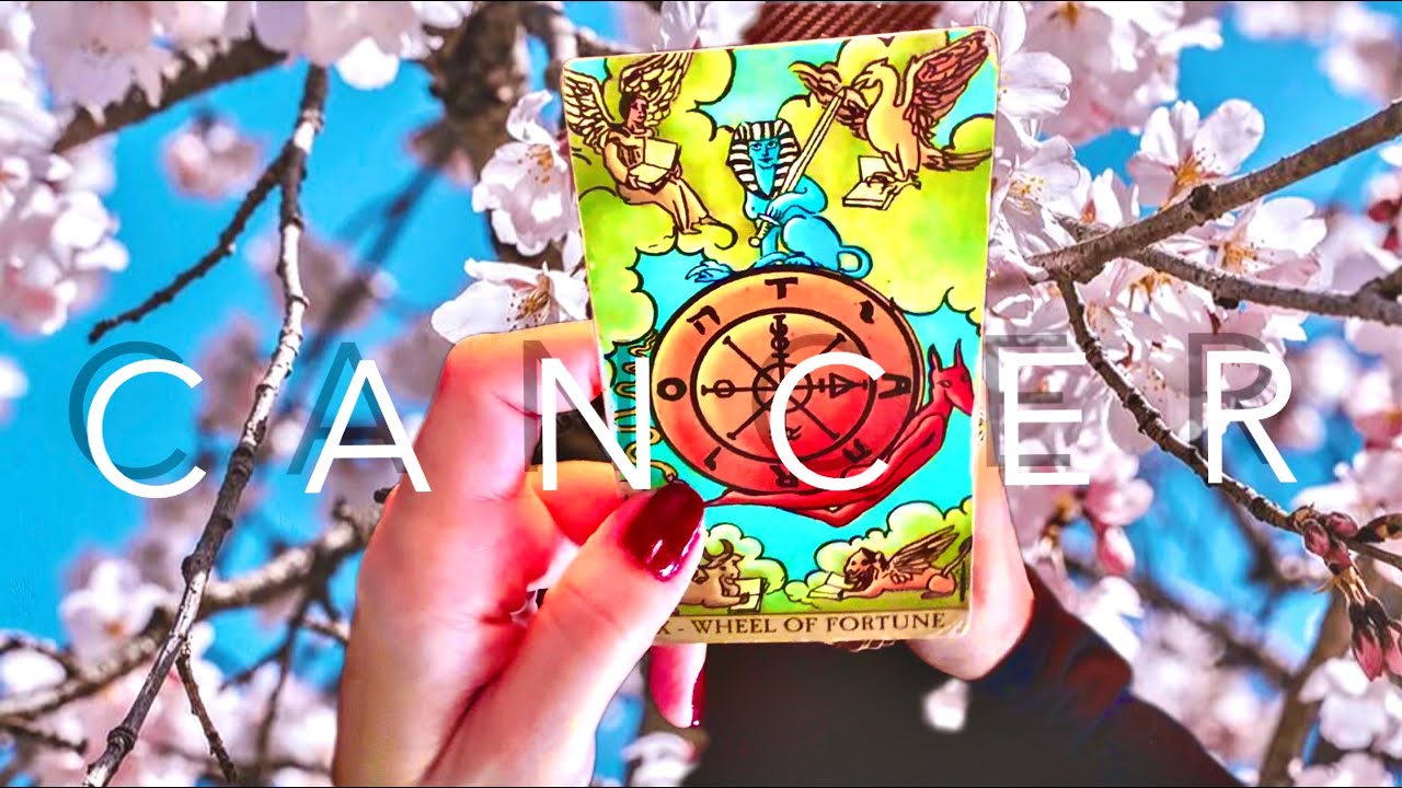 CANCER | Major Turnaround⨕ Someone Realizing they cheated themselves out of something REAL🫵♡ #cancer