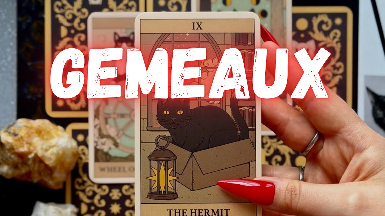 GEMEAUX BEAUCOUP D'ARGENT ET APPEL INATTENDU DE QUELQU'UN QUE VOUS ATTENDEZ!