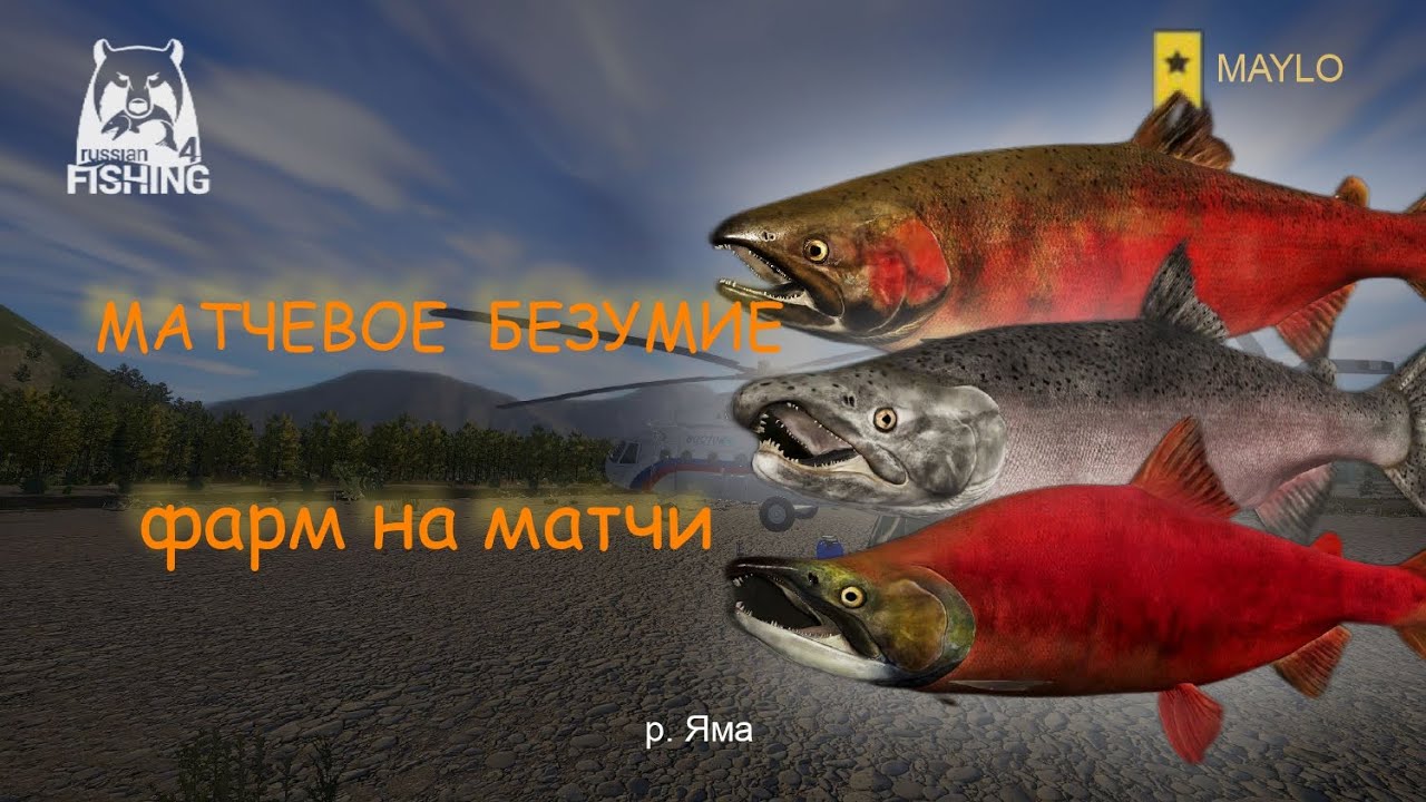 КАК ФАРМИТЬ НА МАТЧИ | Русская рыбалка 4 | РР4 MAYLO