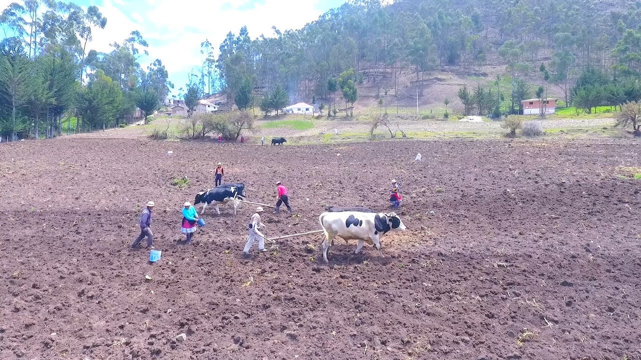 Ca&ntilde;ar Zhisho I Doctv Ecuador