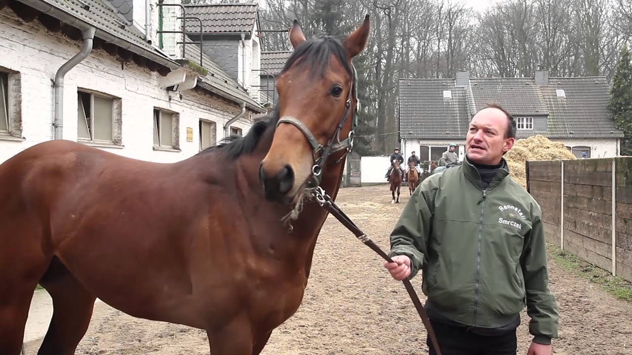 Galopper im Profil - zu Gast bei Sascha Smrczek
