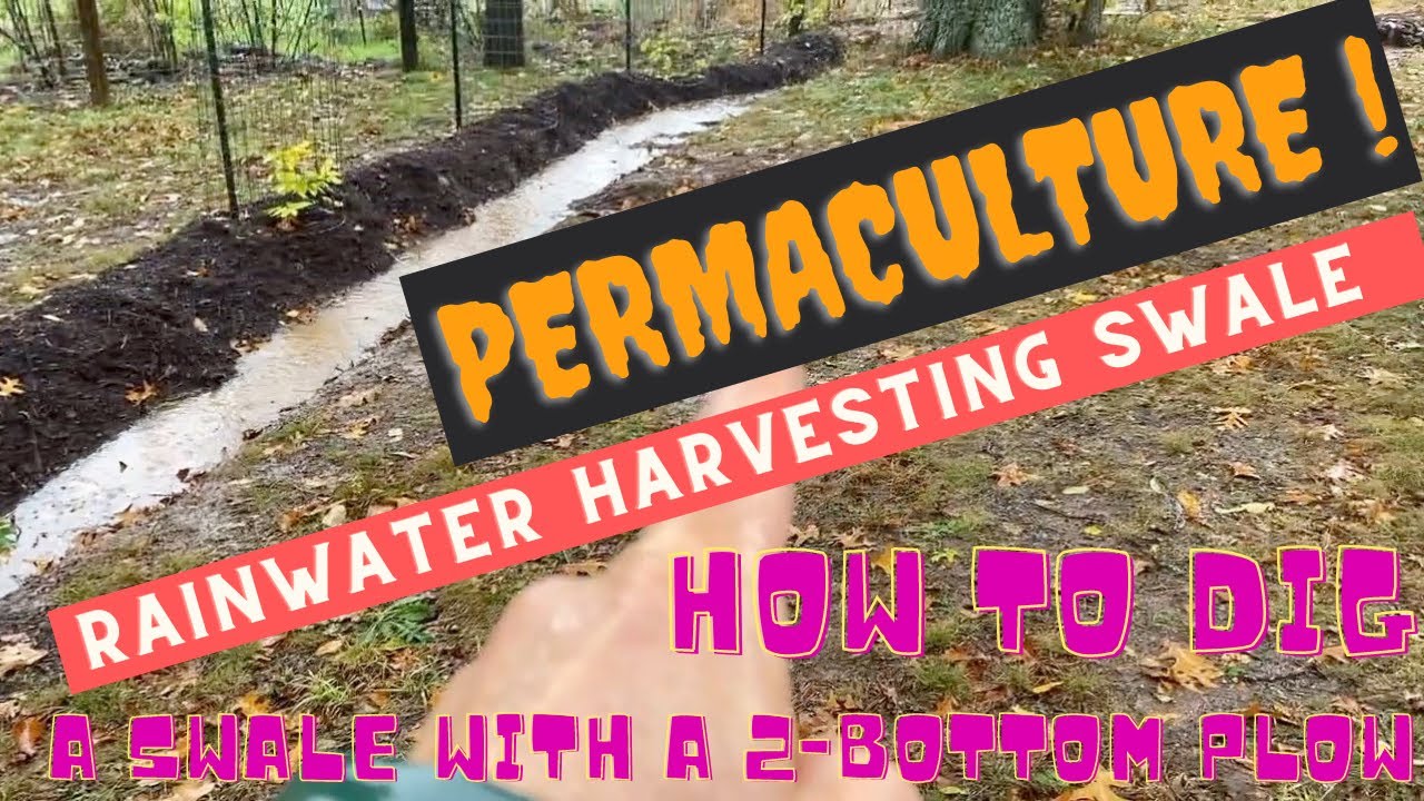 Permaculture Rainwater Harvesting Swale – How to Dig a Swale with a 2 Bottom Plow
