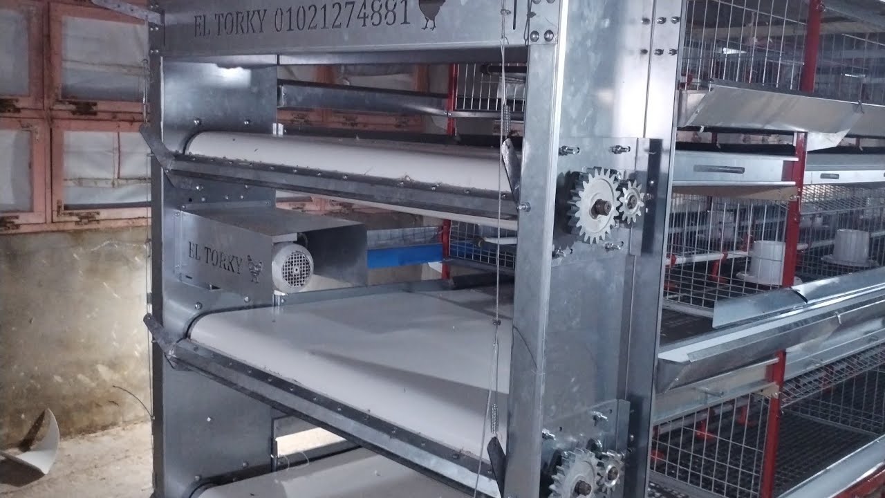 أحدث بطاريات الدواجن الاوتوماتيك تصميم وتصنيع محمد التركي 01021274881