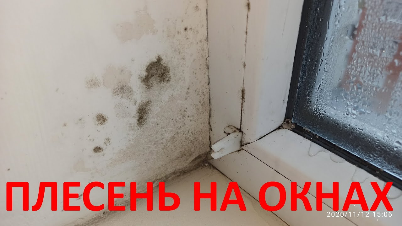 Плесень на окнах и термопленка. Пліснява на вікнах і термоплівка.