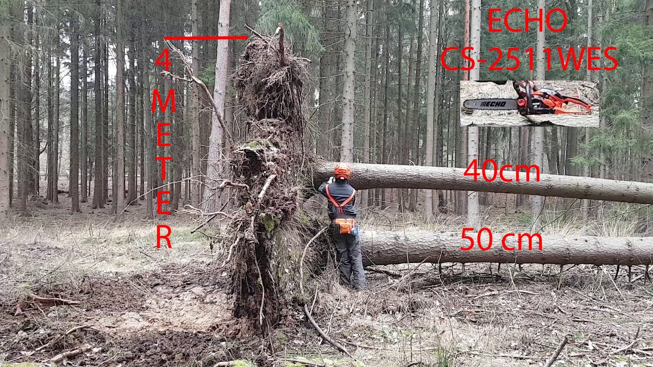 Echo CS-2511 WES Säge Härtetest in der Praxis