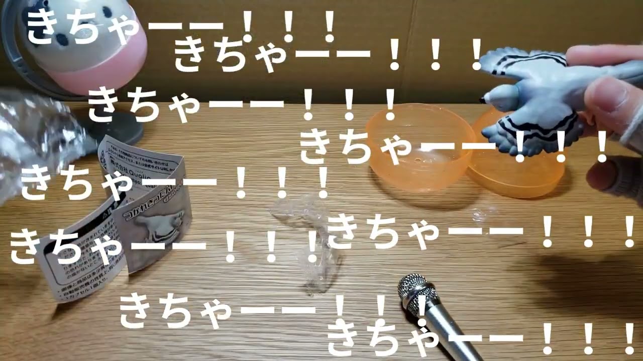 ただいま！！　久しぶりの横動画！　　ガチャガチャ
