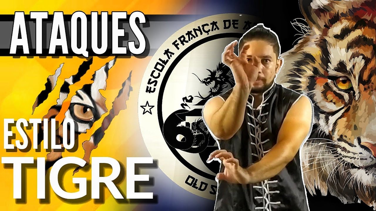 Ataques do Estilo Tigre do Kung Fu | Combate e Treinamento