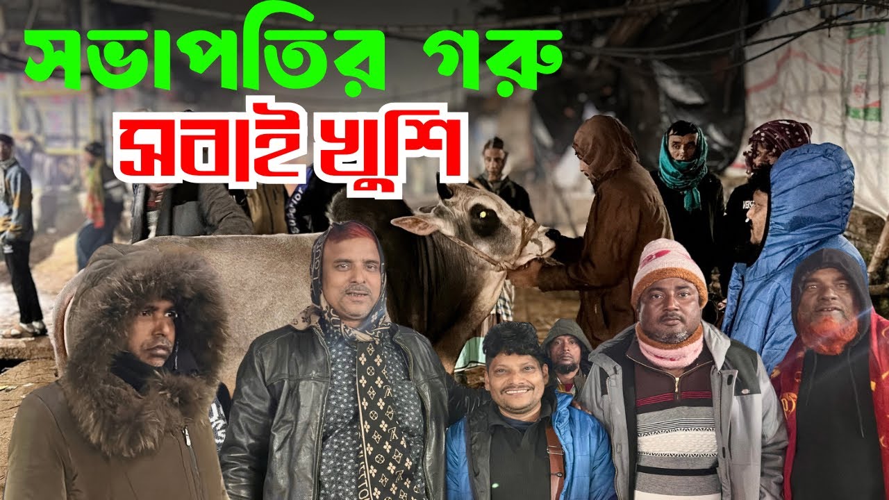 গাবতলী হাটে আকরাম ভাইয়ের গরু কেনা | রহমত চাচার কালো গরু | মিস ফিল্ডিং ২০২৬