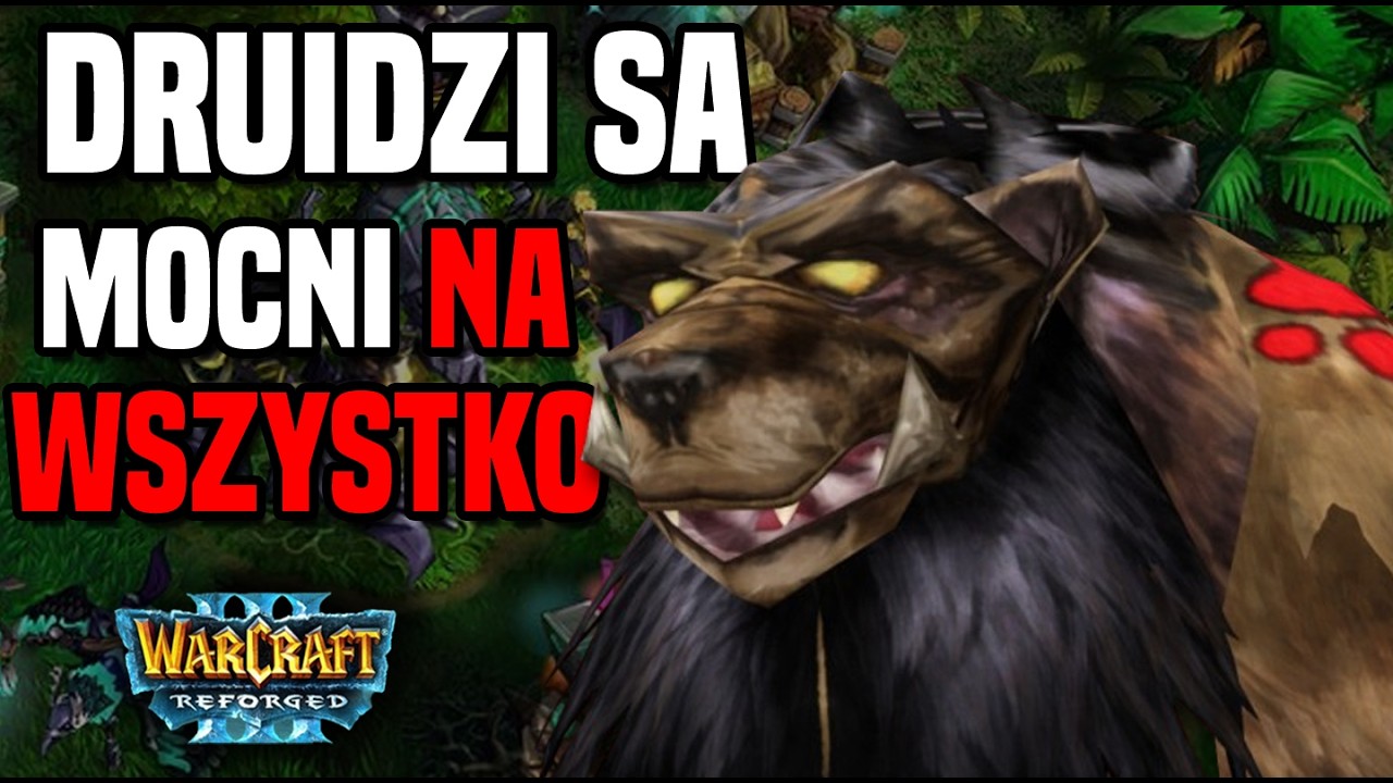 Spotkał niedzwiedzie w Bieszczadach, ale okazało się, że są Druidami Lifa - Warcraft 3