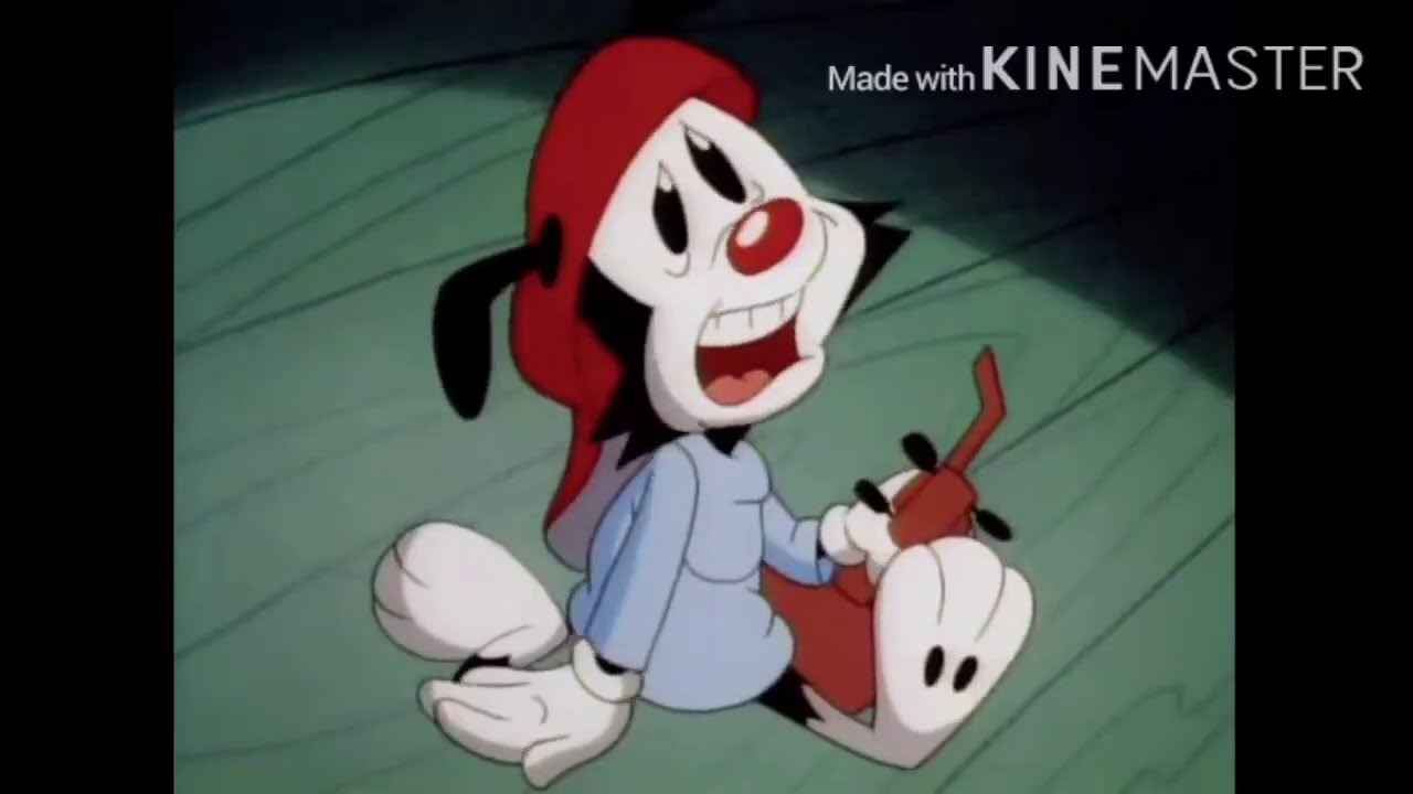 Wakko’s America Reversed!!!