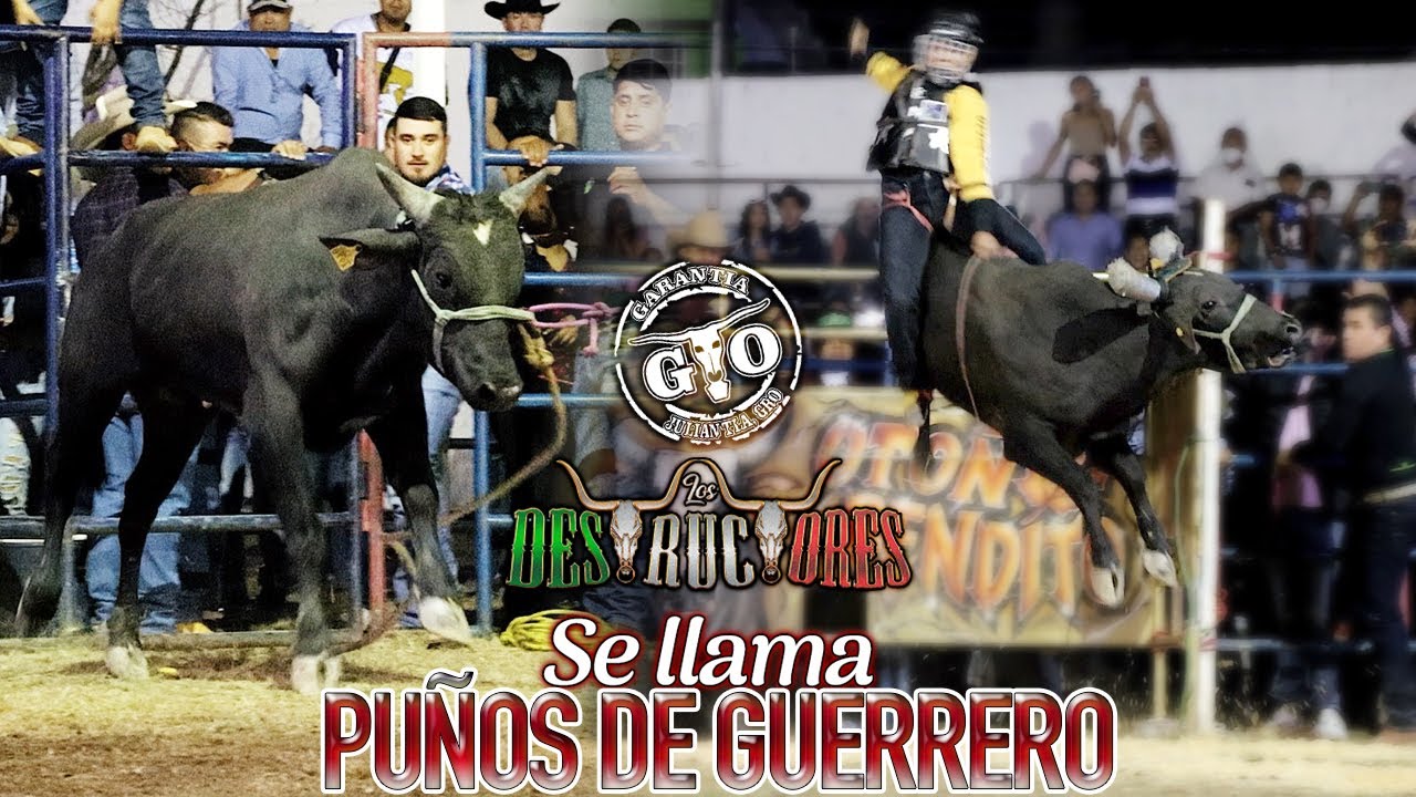 SE ESTREN&Oacute; UN TORETE CON FUTURO DE TORAZO CON LA GARANT&Iacute;A GO Rancho Los Destructores en Tejalpa Mor
