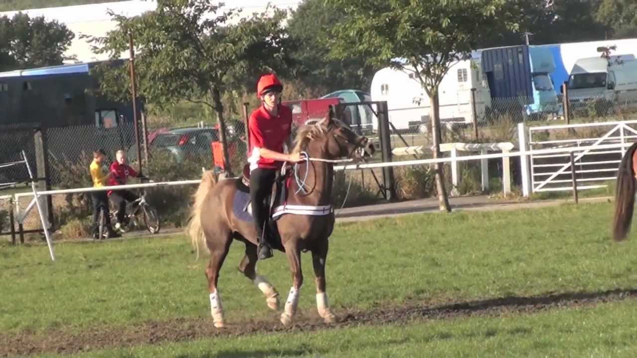 Mounted Games - Pairs Reserve World Champions 2012 - Tom and Greg James