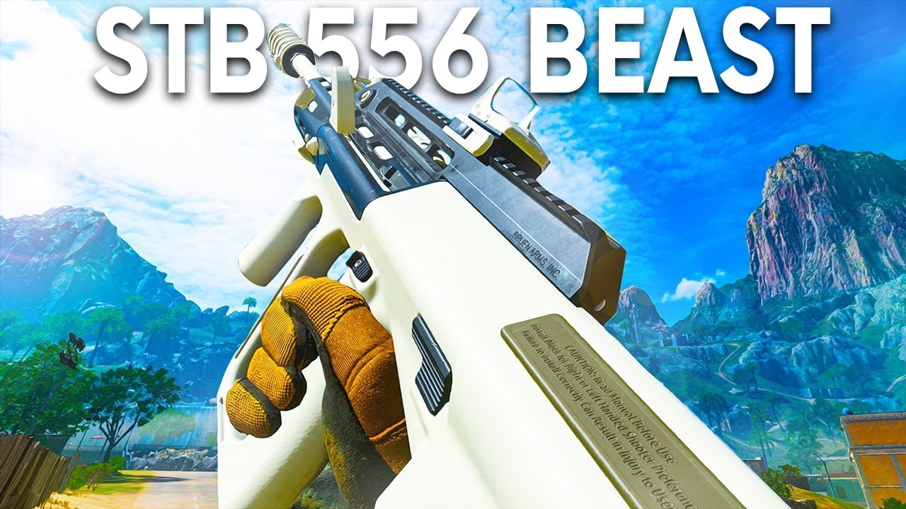 STB 556 Beast - Warzone