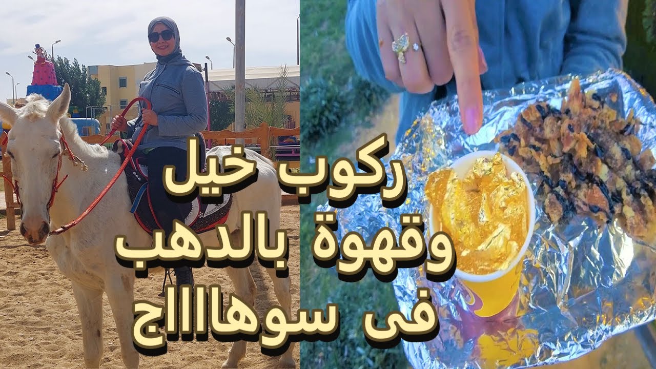 حديقة الطيور الذهبية - تجربة مطعم Prvarw الاسباني في سوهاج