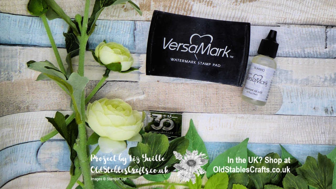 Versamark Ink from Stampin' Up! - How To