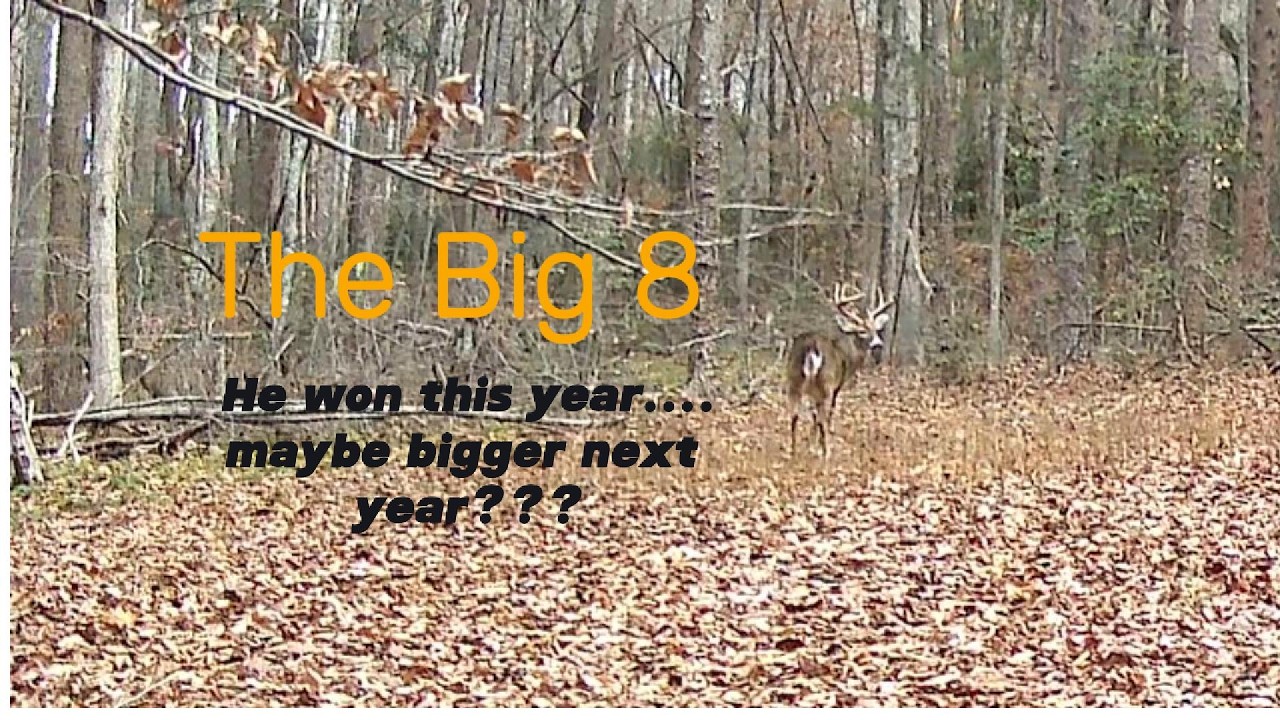 The Big 8