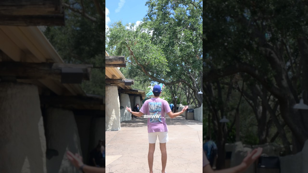 did kumba finally open?
