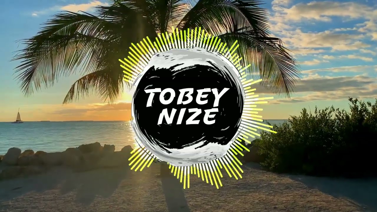 RUBI - WASSEREIS (TOBEY NIZE REMIX)