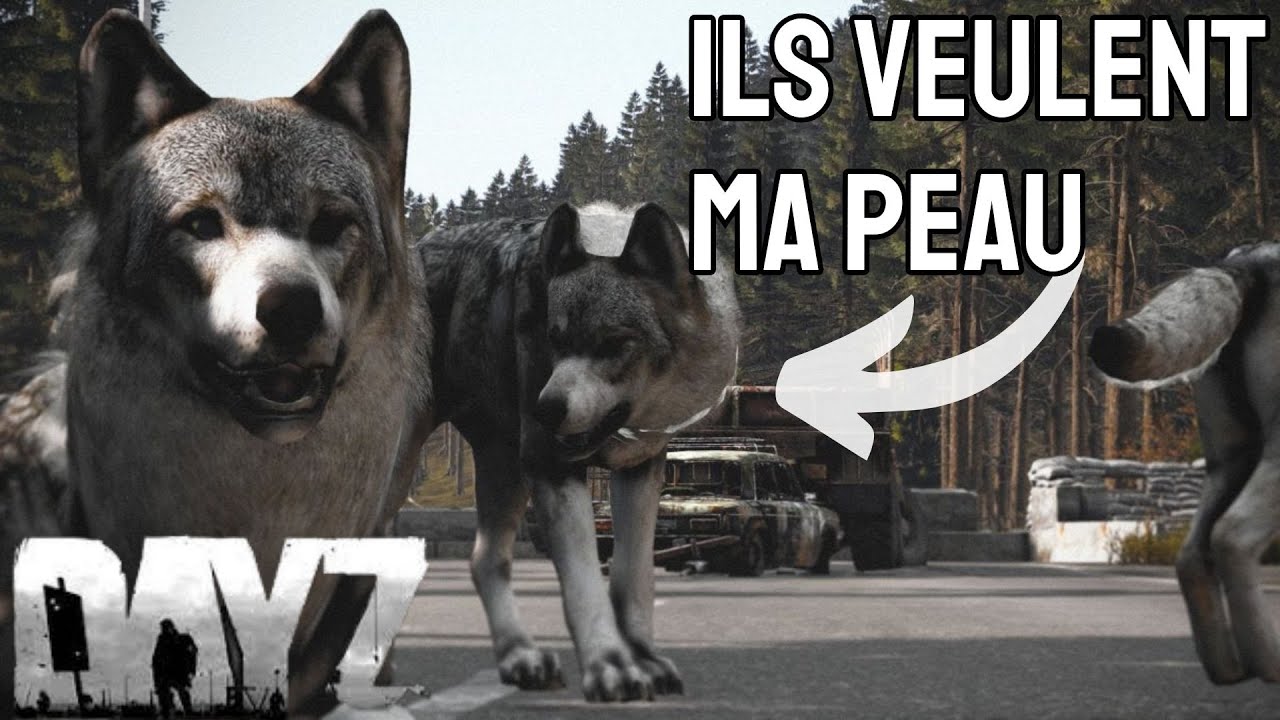 Les LOUPS veulent ma PEAU | DAYZ [FR]