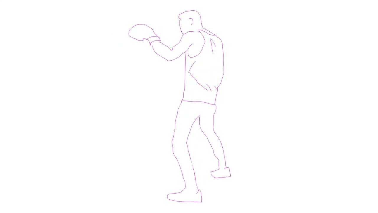 The Boxer