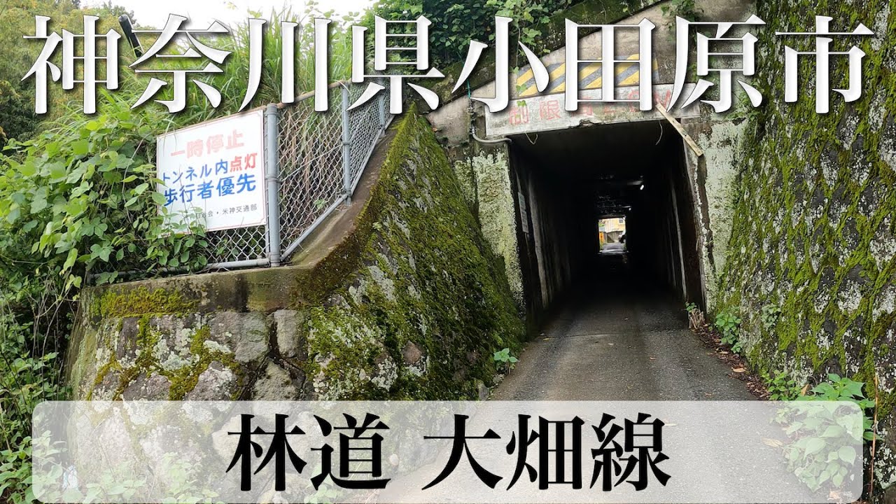神奈川県小田原市 林道 大畑線 - Driving on Ohata Forest Road in Odawara City with Jeep Renegade