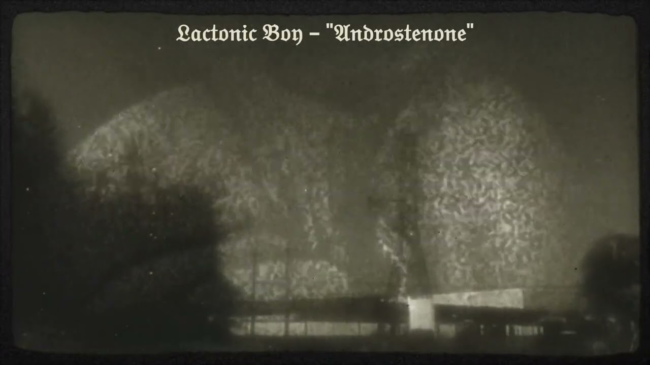 Lactonic Boy - Androstenone (Official Visualizer)