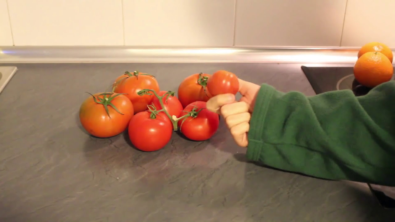 TÍPICA COMPRA VEGETA - Cómo ser vegetarianx sin morir en el intento